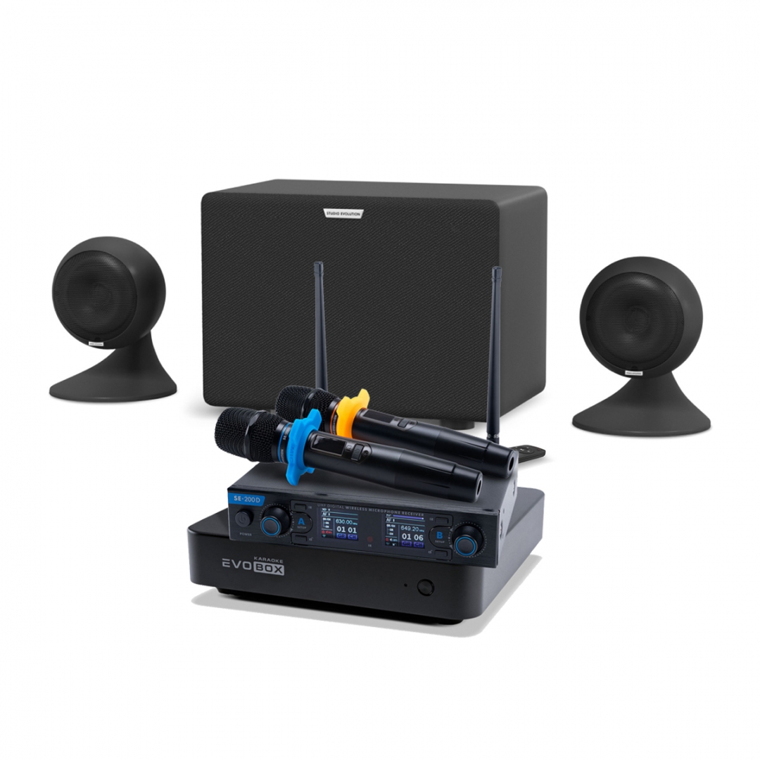 караоке-комплект EVOBOX + EvoSound Sphere 2.1 в Валуйках