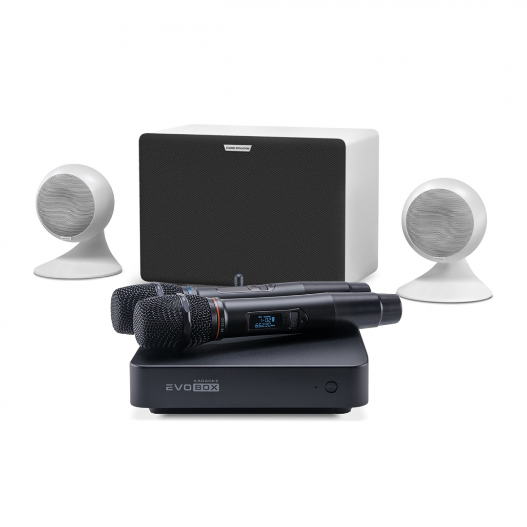 караоке-комплект EVOBOX Classic + EvoSound Sphere 2.1 в Валуйках