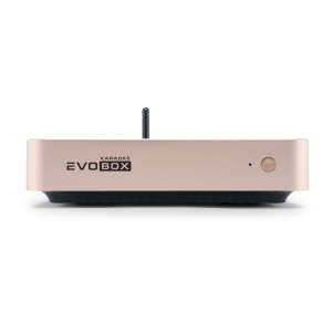 EVOBOX Plus караоке-система для дома в Валуйках