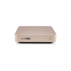 EVOBOX с микрофонами в Валуйках